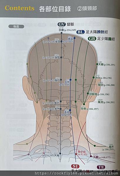 頭部經脈2.JPG 頭部經脈2.JPG