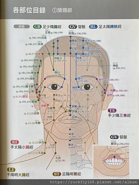 頭部經脈1.JPG 頭部經脈1.JPG