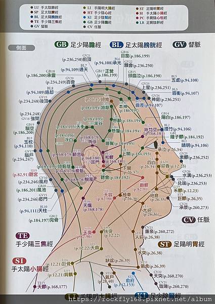 頭部經脈3.JPG 頭部經脈3.JPG