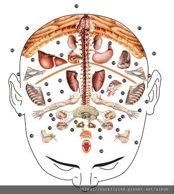 頭部全息反射2.JPG 頭部全息反射2.JPG