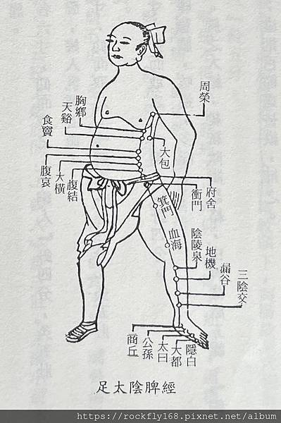 脾經.JPG