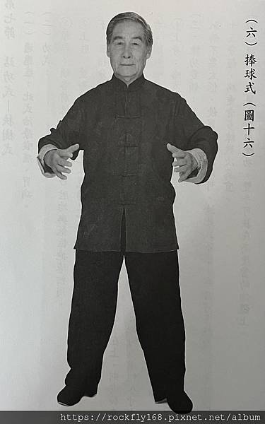 5捧球式.JPG