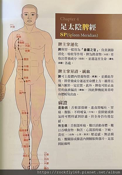 脾經.JPG