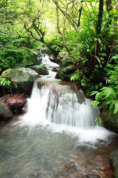 1. Camp Taiwan是Rockland的祕密花園 小溪.JPG