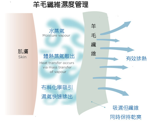 10.羊毛申論題(上)_透氣度超佳的羊毛纖維，讓身體即使流汗了也不悶熱