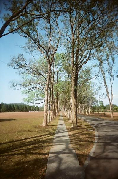 三育基督學院