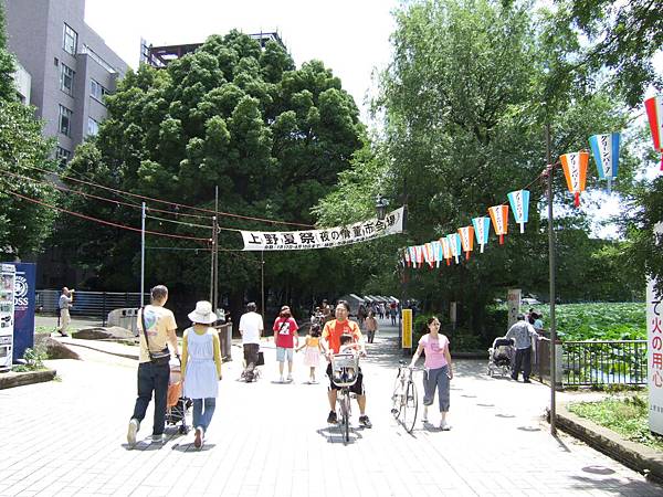 似乎是某個夏日祭典