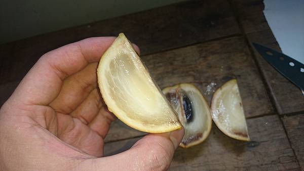 DSC_1960.jpg DSC_1960.jpg