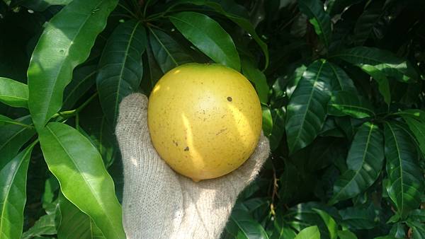 DSC_1924.jpg DSC_1924.jpg