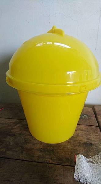 20621945_1692986697676278_7878028114230709508_n.jpg 20621945_1692986697676278_7878028114230709508_n.jpg