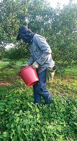 16265673_1616312898676992_4582559871024339833_n.jpg 16265673_1616312898676992_4582559871024339833_n.jpg