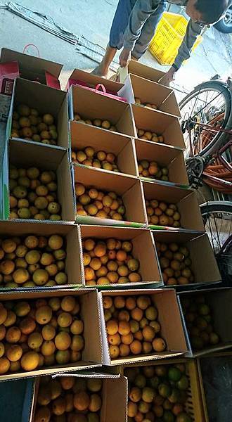 15665967_1603711656603783_2163202747058197252_n.jpg 15665967_1603711656603783_2163202747058197252_n.jpg