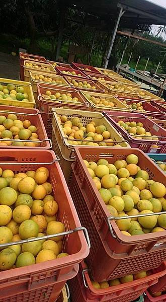 15747872_1605945296380419_7447115327979377695_n.jpg 15747872_1605945296380419_7447115327979377695_n.jpg