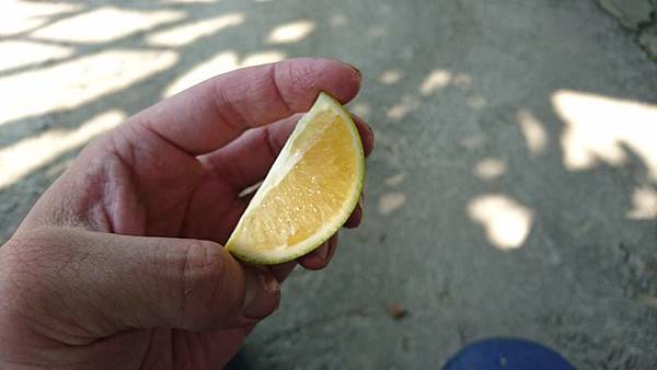 15032719_1591999274441688_6679358209279941270_n.jpg 15032719_1591999274441688_6679358209279941270_n.jpg