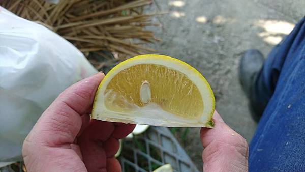 14993345_1591999284441687_1415888917504204010_n.jpg 14993345_1591999284441687_1415888917504204010_n.jpg