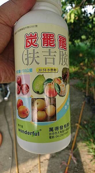 14956468_1226283744106998_3874435776717219103_n.jpg 14956468_1226283744106998_3874435776717219103_n.jpg