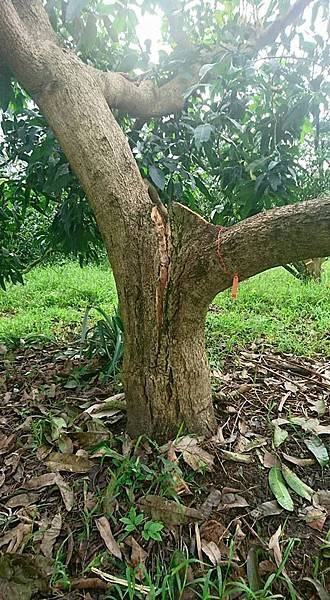 14591649_1576759032632379_4755396869706682280_n.jpg 14591649_1576759032632379_4755396869706682280_n.jpg