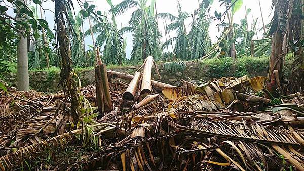 14595539_1576759445965671_6371758997082602795_n.jpg 14595539_1576759445965671_6371758997082602795_n.jpg