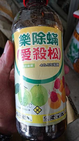 14639643_1223004154434957_2846937118191143008_n.jpg 14639643_1223004154434957_2846937118191143008_n.jpg