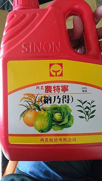 14907606_1223003991101640_1902993826837685114_n.jpg 14907606_1223003991101640_1902993826837685114_n.jpg