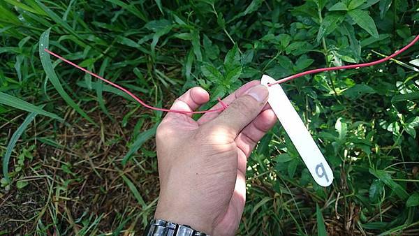 15073496_1242888355779870_6070315448401942878_n.jpg 15073496_1242888355779870_6070315448401942878_n.jpg