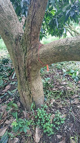 15037292_1242888589113180_679593264389776276_n.jpg 15037292_1242888589113180_679593264389776276_n.jpg