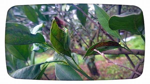 27752128_1760093614298919_4667253852221626819_n.jpg 27752128_1760093614298919_4667253852221626819_n.jpg