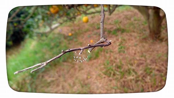 27752598_1760093644298916_1326883753454732227_n.jpg 27752598_1760093644298916_1326883753454732227_n.jpg