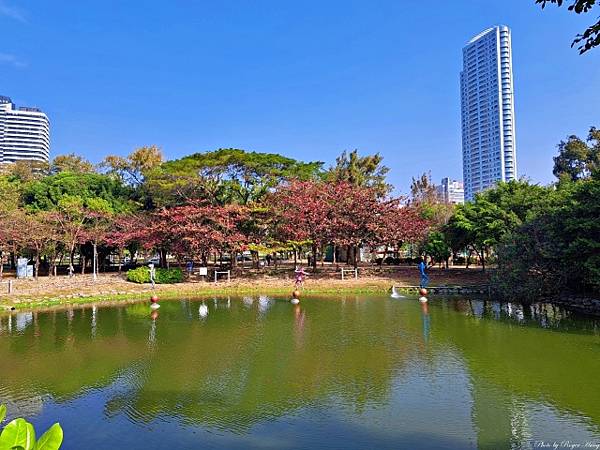 來高雄鴨--高雄黃色小鴨一日遊