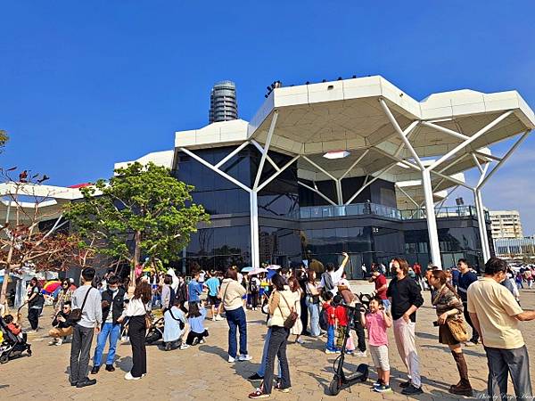 來高雄鴨--高雄黃色小鴨一日遊