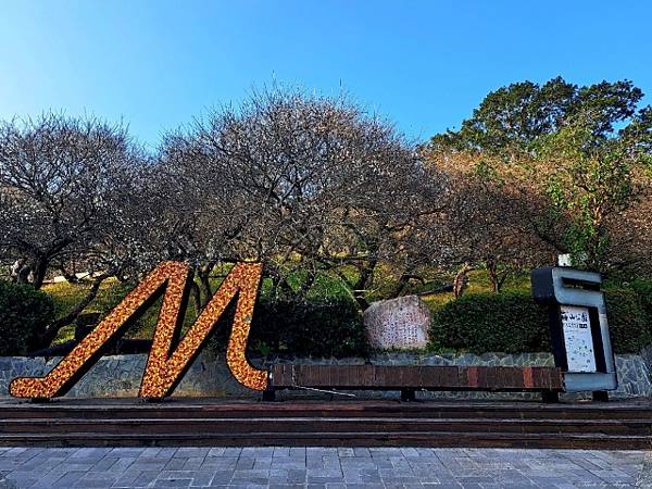 2025梅山賞梅之旅