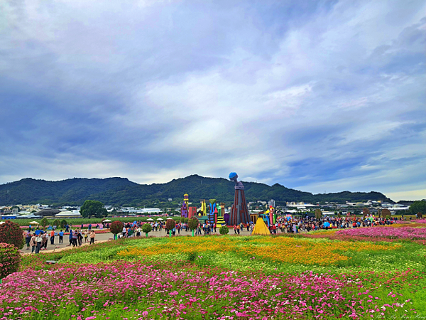2025台中新社花海