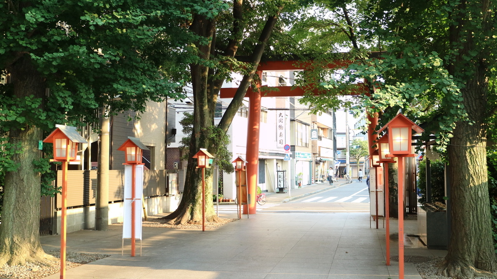 D3赤城神社07.JPG