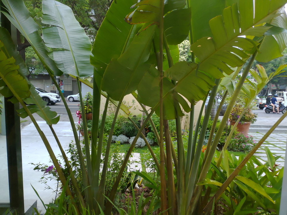 高師大尚07.JPG 高師大尚07.JPG