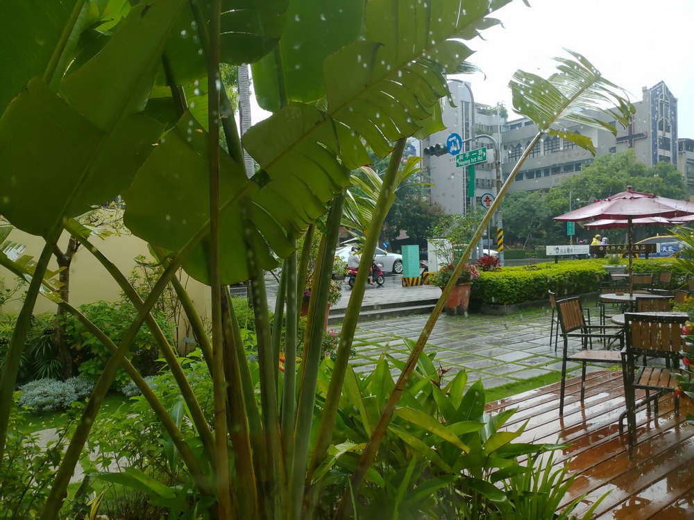 高師大尚10.JPG 高師大尚10.JPG