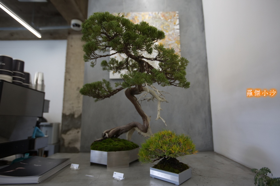 日本．福岡．No Coffee