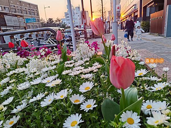 日本.福岡.FUK Coffee Park FUK 大濠公園