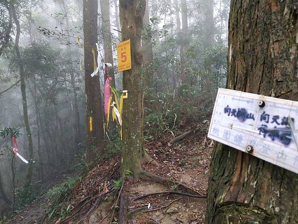 20190121向天湖山尋海狸機_190812_0031.jpg