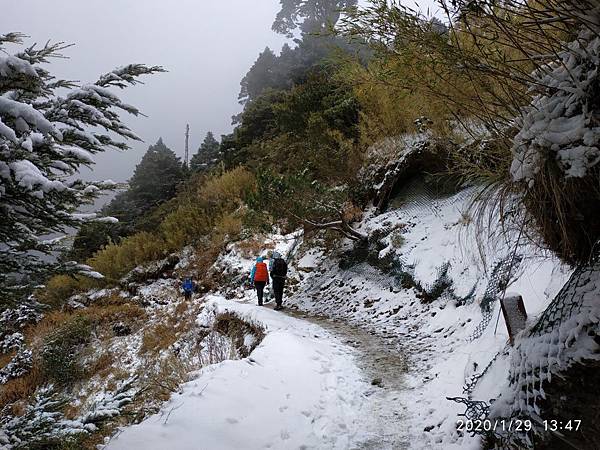 年初五～天池山莊追雪去_200131_0011.jpg