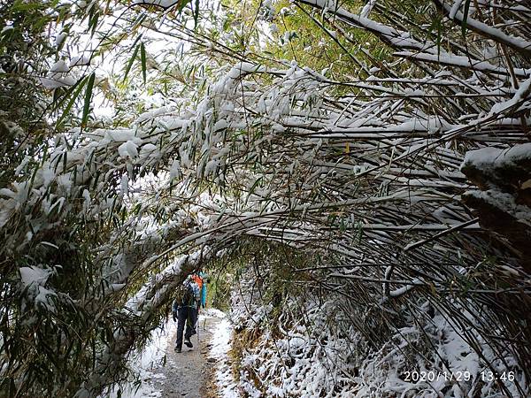 年初五～天池山莊追雪去_200131_0015.jpg