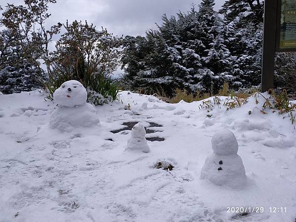 年初五～天池山莊追雪去_200131_0031.jpg