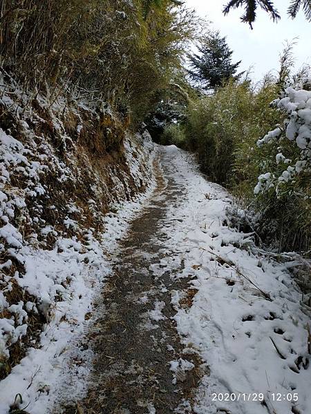 年初五～天池山莊追雪去_200131_0033.jpg