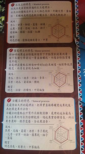 水洗豆.jpg 水洗豆.jpg