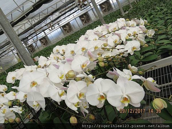 IMG_6674_結果.JPG IMG_6674_結果.JPG