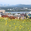 LINE_ALBUM_Day2-濟州露營車早餐、城山日出峰_230629_178.jpg