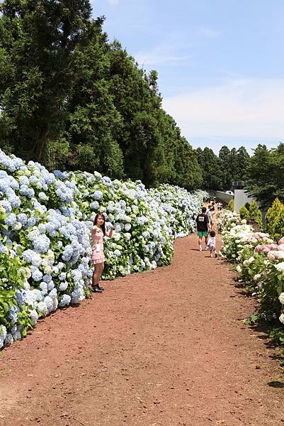 LINE_ALBUM_2023623Day3濟州-白種元咖啡、東門(魚板、abebe)、boromwat_230629_98.jpg