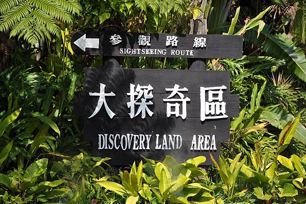 DSC_  2012-1-27 上午 11-36-14.jpg