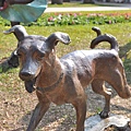 DSC_0351.jpg