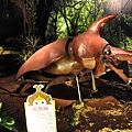 DSC_0421.jpg