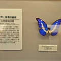 DSC_0479.jpg